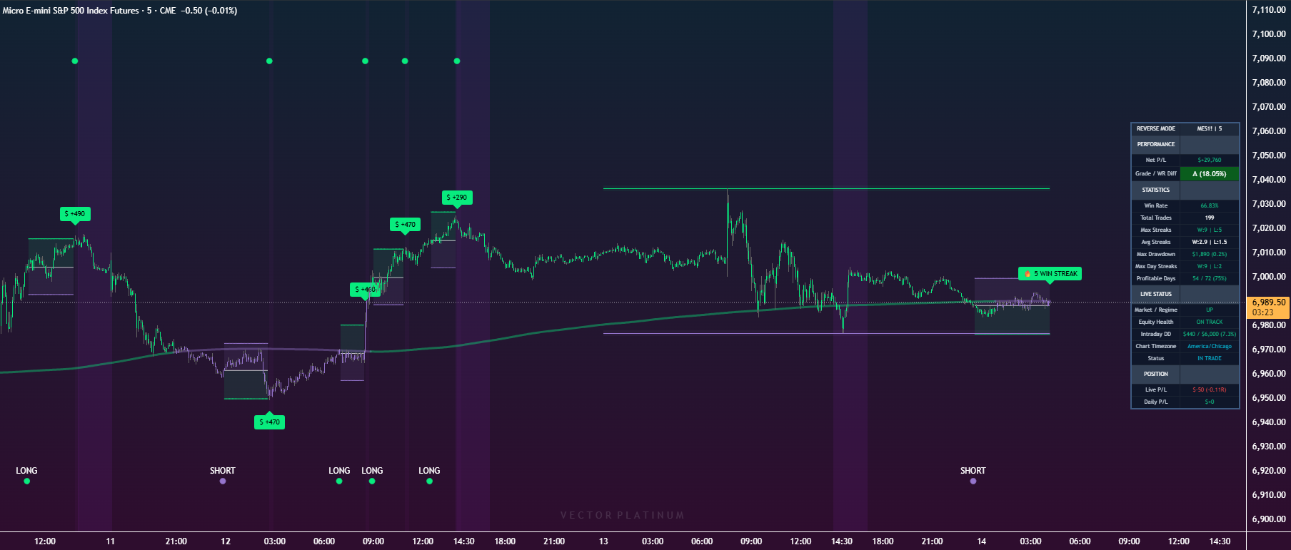 Vector Platinum equity curve showing consistent growth